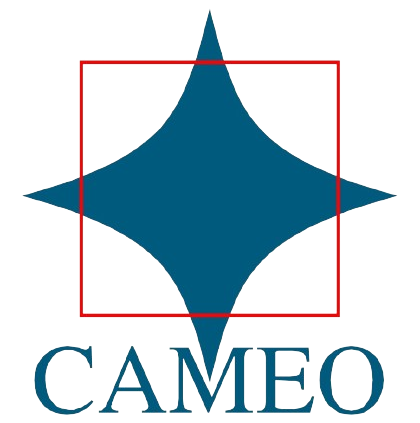 Cameo Corporation Logo