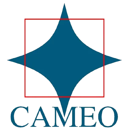 Cameo Corporation Logo